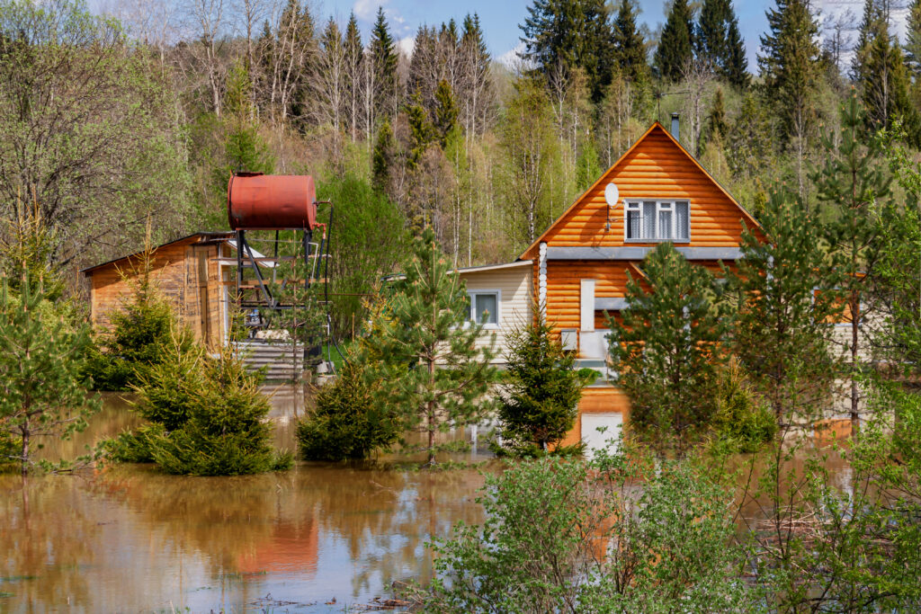 The Smart Way to Sell a Flood-Damaged or Mold-Infested Home in Las Vegas